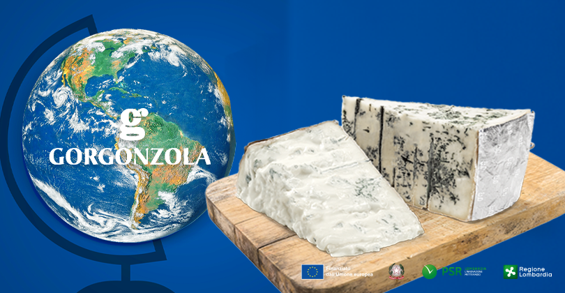 En verdensomrejse med gorgonzola